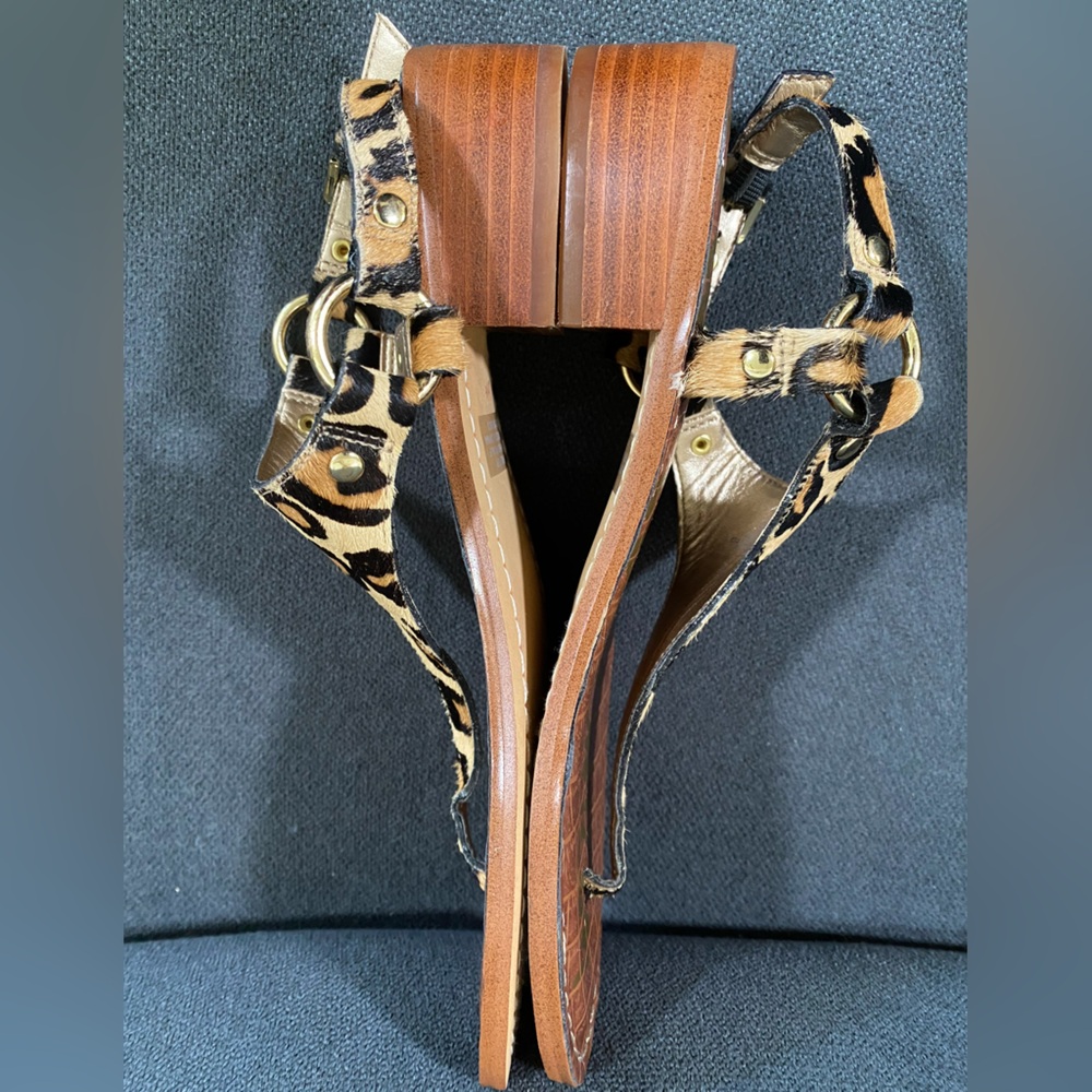 Sam Edelman Jude Leopard Print Calf Hair Thong Sandal - Picture 8 of 16
